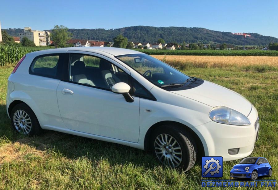 Galerie admisie fiat grande punto 2007